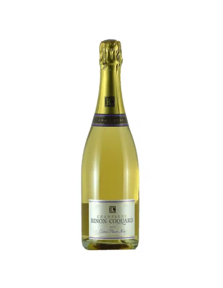 Champagne Brut "Extra Pinot Noir" - Binon Coquard