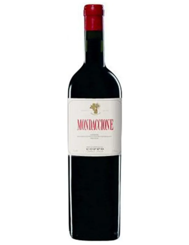 Mondaccione “Vigne Vecchie” 2006 - Coppo - Langhe Freisa DOC